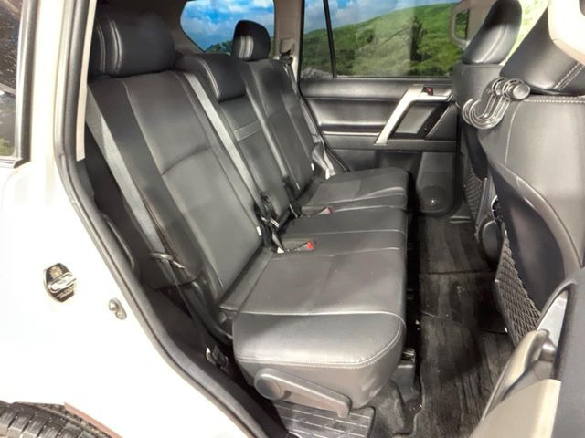 �㕔���Ȃ��C�ɂȂ�悤�ȃL�Y�E�����ւ��蓙�A�傫�ȃ_���[�W�͂Ȃ��A�ǍD�ȏ�Ԃł��B