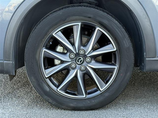 ���Ǝҗl�ւ̔̔��͂��f�肳���Ă��������܂��B �Ԍ������ԗ��̏ꍇ�́A�Ԍ����擾�������x�������z�ŕ\�����Ă���܂��B