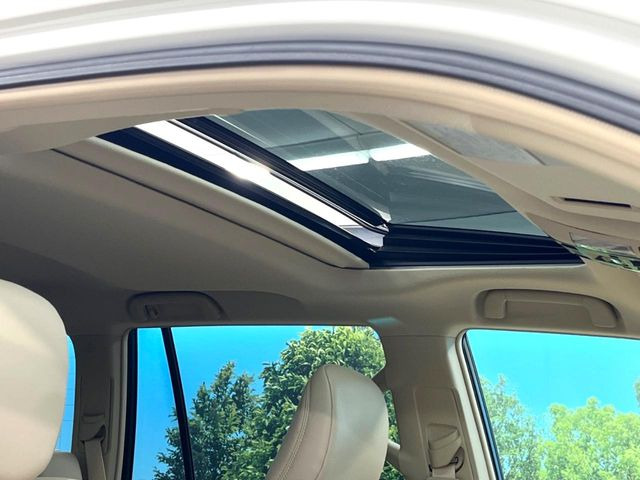 �y�T�����[�t�z�J���������Ղ�̊󏭑����A�T�����[�t����������Ă��܂�!�ԓ��ɖ�����������ꂽ��i�F���y���ވȊO�ɂ��A�ԓ��̋�C���ȒP�Ɋ��C�ł��ĉ��K�ł�!