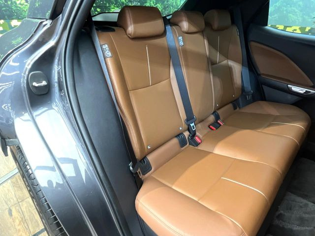 �㕔���Ȃ��C�ɂȂ�悤�ȃL�Y�E�����ւ��蓙�A�傫�ȃ_���[�W�͂Ȃ��A�ǍD�ȏ�Ԃł��B