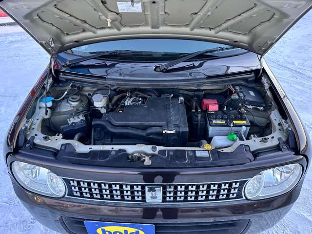 ���|�ς݂Ŕ��ɂ��ꂢ�ł���!!