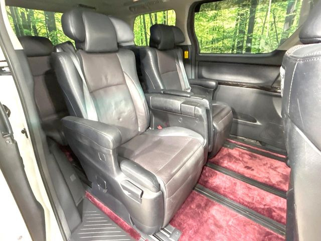 �㕔���Ȃ��C�ɂȂ�悤�ȃL�Y�E�����ւ��蓙�A�傫�ȃ_���[�W�͂Ȃ��A�ǍD�ȏ�Ԃł��B