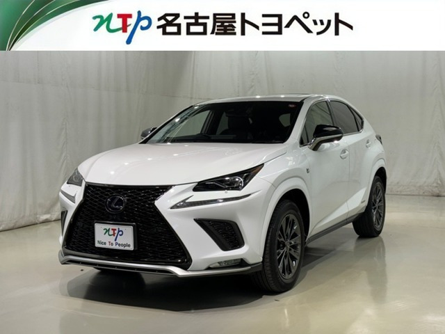 NX300h アーバンスタイル