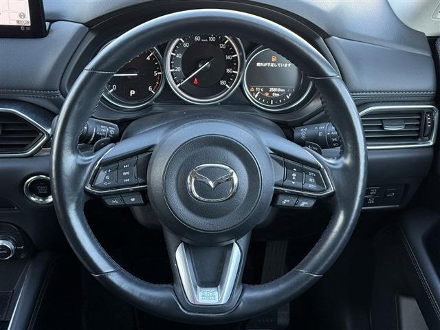 ���Ǝҗl�ւ̔̔��͂��f�肳���Ă��������܂��B �Ԍ������ԗ��̏ꍇ�́A�Ԍ����擾�������x�������z�ŕ\�����Ă���܂��B