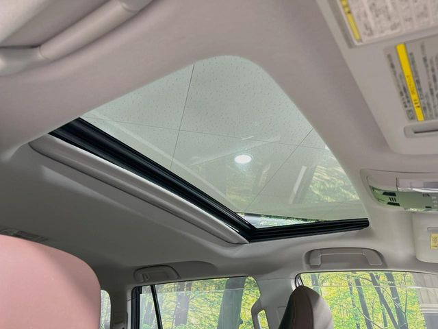 �y�T�����[�t�z�J���������Ղ�̊󏭑����A�T�����[�t����������Ă��܂�!�ԓ��ɖ�����������ꂽ��i�F���y���ވȊO�ɂ��A�ԓ��̋�C���ȒP�Ɋ��C�ł��ĉ��K�ł�!