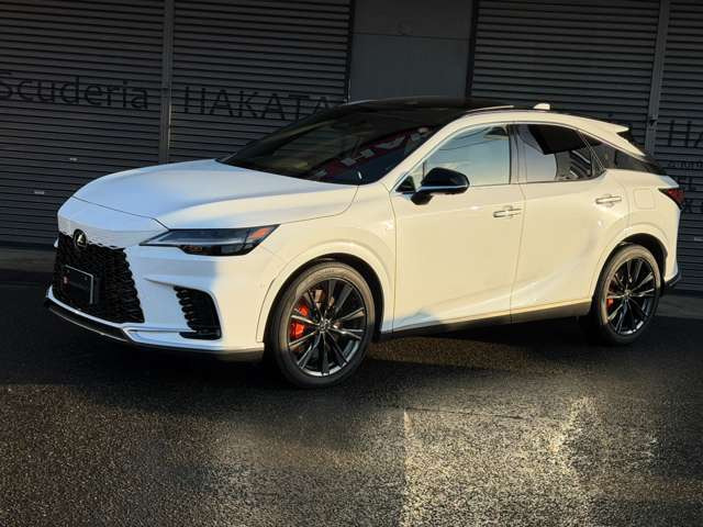 �y�I�v�V�����z�p�m���}�~�b�N�K���X���[�t�E�I�����W�L�����p�[�E�}�[�N���r���\���B