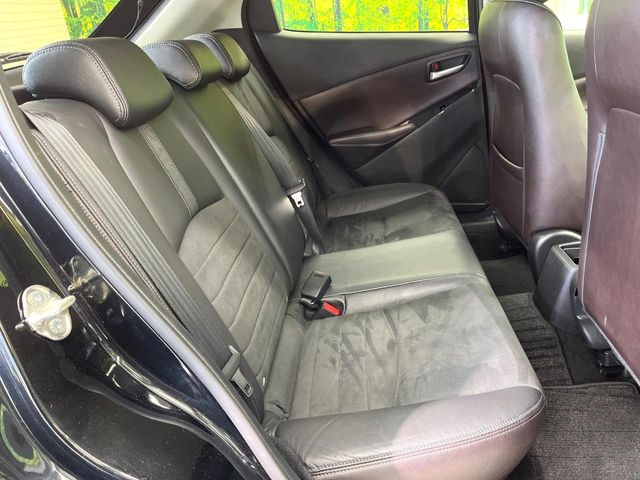 �㕔���Ȃ��C�ɂȂ�悤�ȃL�Y�E�����ւ��蓙�A�傫�ȃ_���[�W�͂Ȃ��A�ǍD�ȏ�Ԃł��B