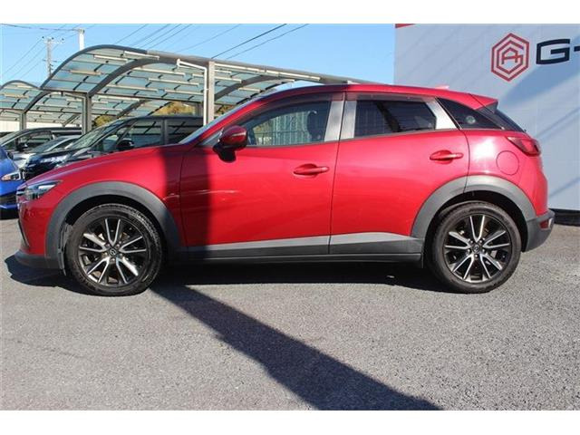 �����X�o���Ȃ����q�l�A���Ǝҗl�ւ̔̔��͂��f�肳���Ă��������܂��B�Ԍ������ԗ��̏ꍇ�́A�Ԍ����擾�������x�������z�ŕ\�����Ă���܂��B