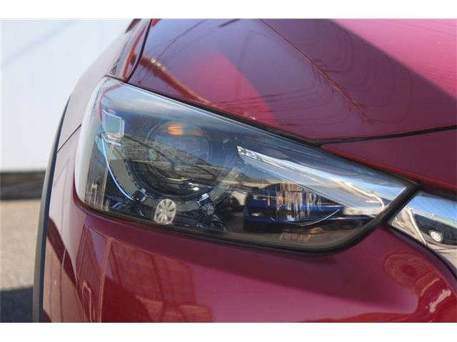 �����X�o���Ȃ����q�l�A���Ǝҗl�ւ̔̔��͂��f�肳���Ă��������܂��B�Ԍ������ԗ��̏ꍇ�́A�Ԍ����擾�������x�������z�ŕ\�����Ă���܂��B