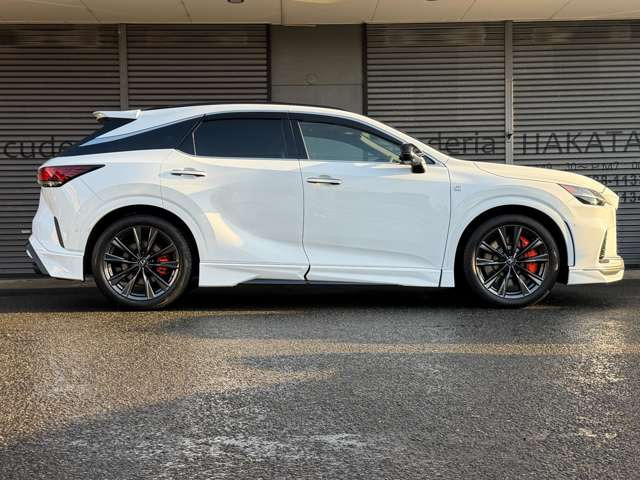 �y�I�v�V�����z�G�A���_�C�i�~�b�N�p�b�P�[�W(TRD�G�A��)�E�I�����W�L�����p�[�E�p�m���}�~�b�N���[�t�B