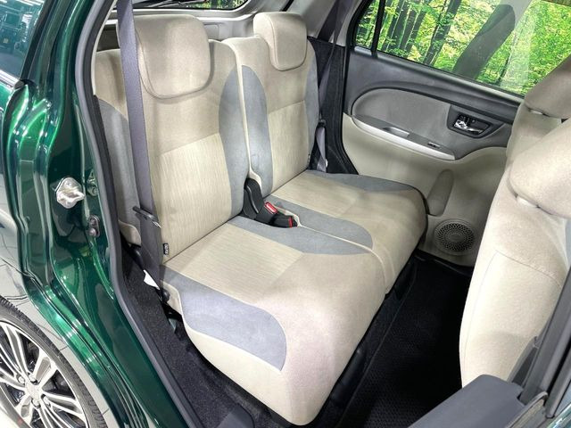 �㕔���Ȃ��C�ɂȂ�悤�ȃL�Y�E�����ւ��蓙�A�傫�ȃ_���[�W�͂Ȃ��A�ǍD�ȏ�Ԃł��B