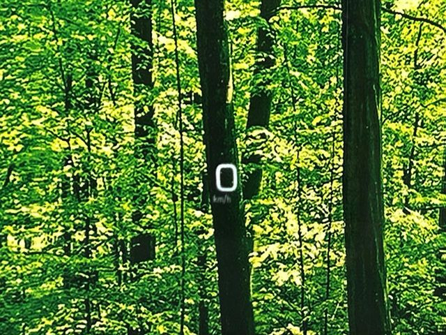 �y�J���[�w�b�h�A�b�v�f�B�X�v���C�z���݂̑��x�⑖�s�����f�W�^���\���ŉ^�]�ȑO���̃K���X�ɓ��e!�J���[�t���Ŏ��F���������A�^�]���ڐ������炳���K�v�ȏ����m�F�ł���̂łƂ��Ă��֗��ň��S!