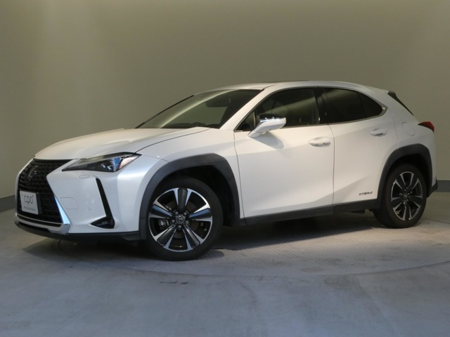 UX250h バージョンL