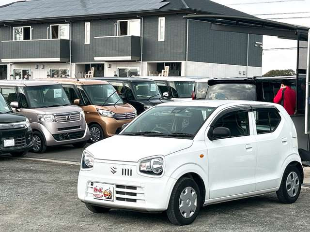 �y39.8���X�J�[�Y�̎��q���������������A���ɂ��肪�Ƃ��������܂��B���������S�s���c1186-7TEL:0942-73-6060�܂ł��⍇����������