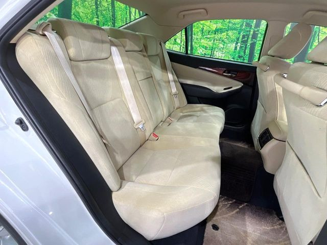 �㕔���Ȃ��C�ɂȂ�悤�ȃL�Y�E�����ւ��蓙�A�傫�ȃ_���[�W�͂Ȃ��A�ǍD�ȏ�Ԃł��B