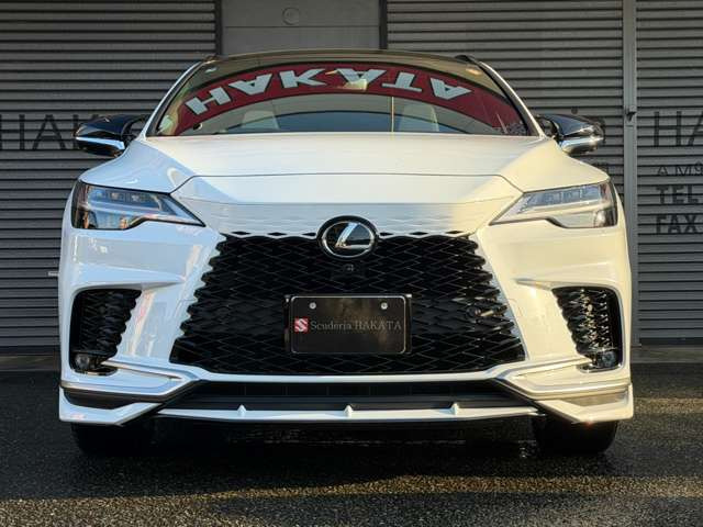 �O��LED�w�b�h���C�g(�I�[�g���C�g�E�I�[�g�n�C�r�[��):LED�|�W�V���j���O���C�g:�z���C�g�m�[���@�K���X�t���[�N(�{�f�B�[�J���[)