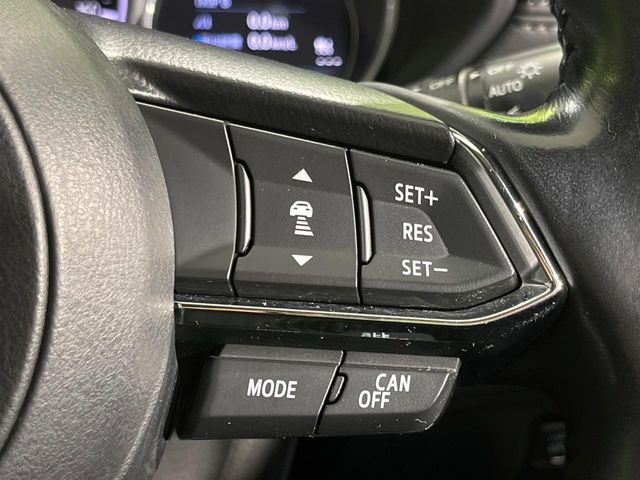 �y�}�c�_�E���[�_�[�N���[�Y�R���g���[���z�������H�ł̒��������s���y��!�����ő��x��ۂN���[�Y�R���g���[�����A�Փˌy���V�X�e���ƘA�g���A�O���̎ԗ������m���ĎԊԂ�ۂ悤�ɑ��x���߂��Ă���܂�!!