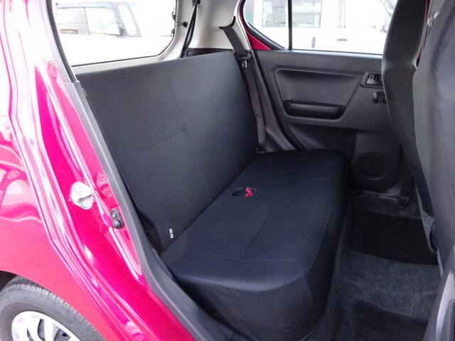 �㕔���Ȃ��傫�ȎC����Ȃ���ԗǍD�ł��B