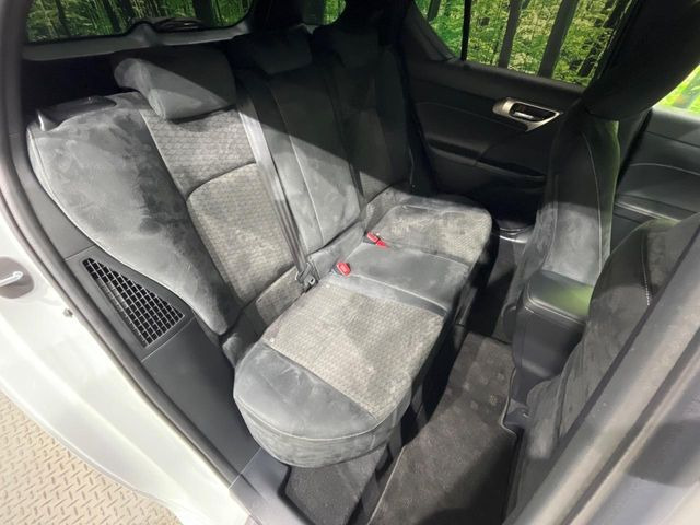 �㕔���Ȃ��C�ɂȂ�悤�ȃL�Y�E�����ւ��蓙�A�傫�ȃ_���[�W�͂Ȃ��A�ǍD�ȏ�Ԃł��B