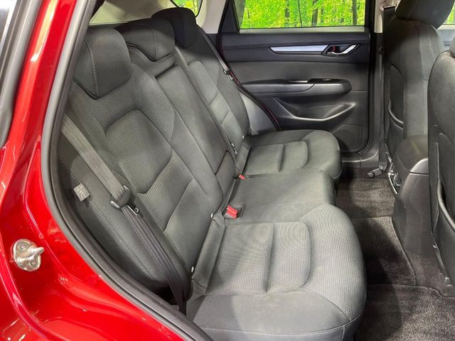 �㕔���Ȃ��C�ɂȂ�悤�ȃL�Y�E�����ւ��蓙�A�傫�ȃ_���[�W�͂Ȃ��A�ǍD�ȏ�Ԃł��B