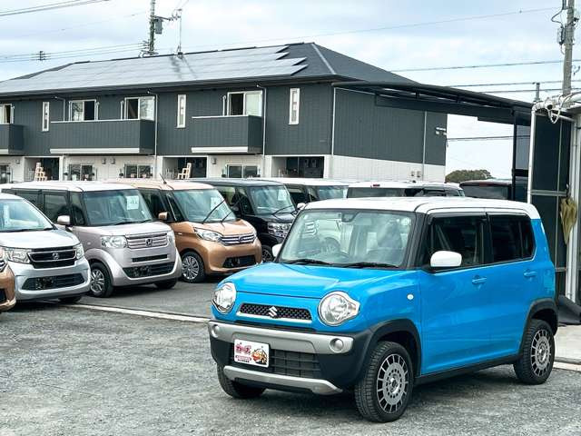 �y39.8���X�J�[�Y�̎��q���������������A���ɂ��肪�Ƃ��������܂��B���������S�s���c1186-7TEL:0942-73-6060�܂ł��⍇����������