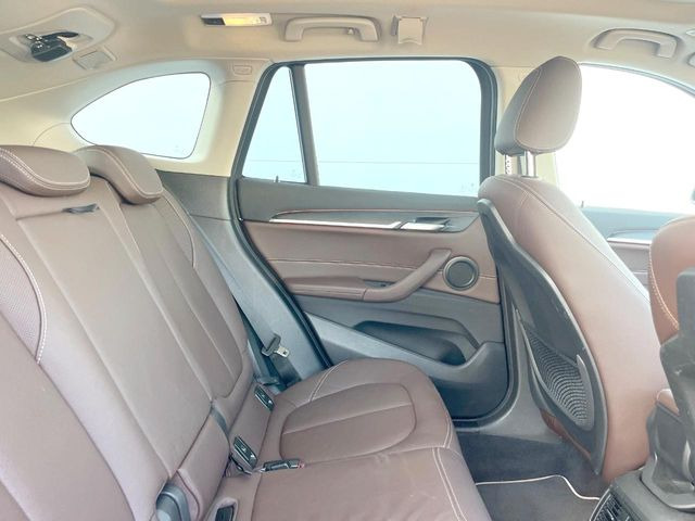 ���㕔���Ȃ��C�ɂȂ�悤�ȃL�Y�E�����ւ��蓙�A�傫�ȃ_���[�W�͂Ȃ��A�ǍD�ȏ�Ԃł��B