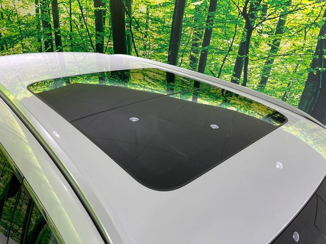 �y�T�����[�t�z�J���������Ղ�̊󏭑����A�T�����[�t����������Ă��܂�!�ԓ��ɖ�����������ꂽ��i�F���y���ވȊO�ɂ��A�ԓ��̋�C���ȒP�Ɋ��C�ł��ĉ��K�ł�!