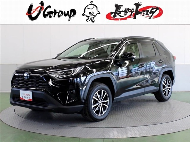 RAV42.5 ハイブリッド X