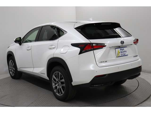 NX300h バージョンL