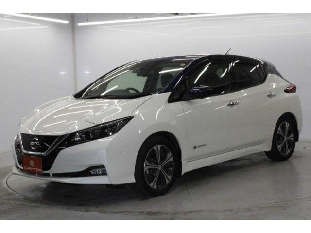 ���Ǝҗl�ւ̔̔��͂��f�肳���Ă��������܂��B �Ԍ������ԗ��̏ꍇ�́A�Ԍ����擾�������x�������z�ŕ\�����Ă���܂��B