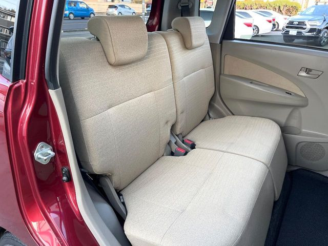 �㕔���Ȃ��C�ɂȂ�悤�ȃL�Y�E�����ւ��蓙�A�傫�ȃ_���[�W�͂Ȃ��A�ǍD�ȏ�Ԃł��B