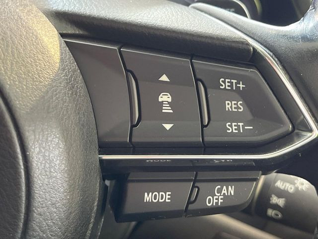 �y�}�c�_�E���[�_�[�N���[�Y�R���g���[���z�������H�ł̒��������s���y��!�����ő��x��ۂN���[�Y�R���g���[�����A�Փˌy���V�X�e���ƘA�g���A�O���̎ԗ������m���ĎԊԂ�ۂ悤�ɑ��x���߂��Ă���܂�!!