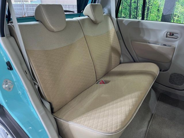 �㕔���Ȃ��C�ɂȂ�悤�ȃL�Y�E�����ւ��蓙�A�傫�ȃ_���[�W�͂Ȃ��A�ǍD�ȏ�Ԃł��B