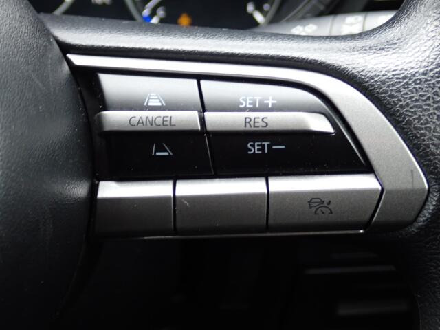 �y�N���[�Y�R���g���[���z�������H�ł̒��������s���y�Ɂ�A�N�Z���y�_���𓥂܂��Ɏԑ������ɕۂ��Ƃ��\�ł��B�O���̎ԗ������m���ĎԊԂ�ۂ悤�ɑ��x���߂��Ă���܂�!!