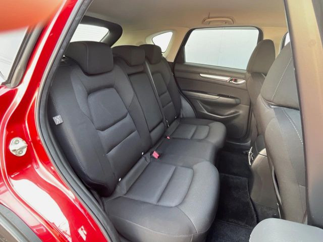 �㕔���Ȃ��C�ɂȂ�悤�ȃL�Y�E�����ւ��蓙�A�傫�ȃ_���[�W�͂Ȃ��A�ǍD�ȏ�Ԃł��B