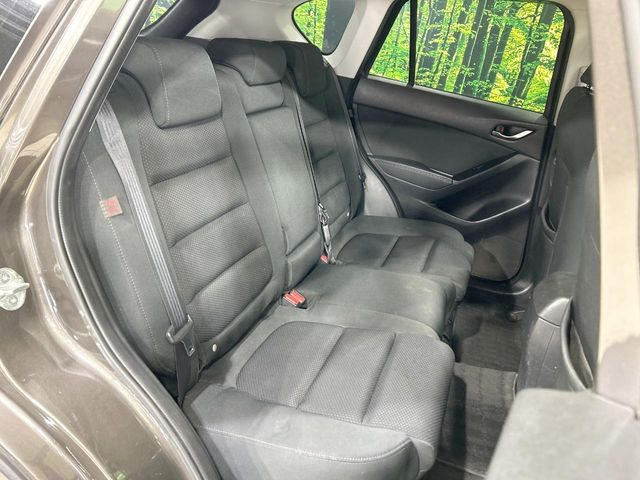 �㕔���Ȃ��C�ɂȂ�悤�ȃL�Y�E�����ւ��蓙�A�傫�ȃ_���[�W�͂Ȃ��A�ǍD�ȏ�Ԃł��B