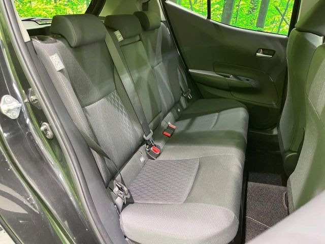 �㕔���Ȃ��C�ɂȂ�悤�ȃL�Y�E�����ւ��蓙�A�傫�ȃ_���[�W�͂Ȃ��A�ǍD�ȏ�Ԃł��B