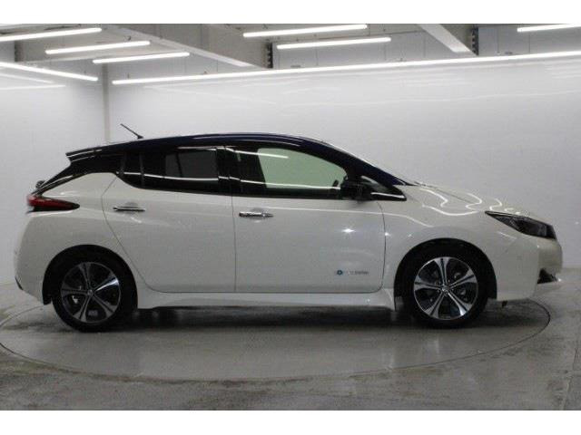 ���Ǝҗl�ւ̔̔��͂��f�肳���Ă��������܂��B �Ԍ������ԗ��̏ꍇ�́A�Ԍ����擾�������x�������z�ŕ\�����Ă���܂��B