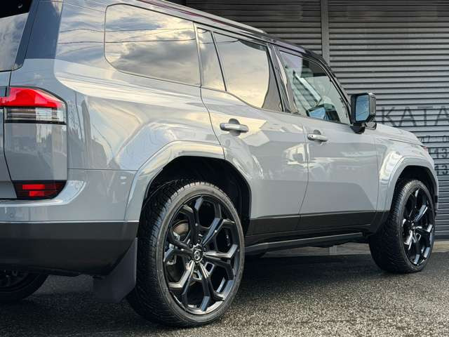 �g���Z��LSD�t�g�����X�t�@�[�E�f�B�t�@�����V�������b�N(�Z���^�[ )�E�d���T�C�h�X�e�b�v�B