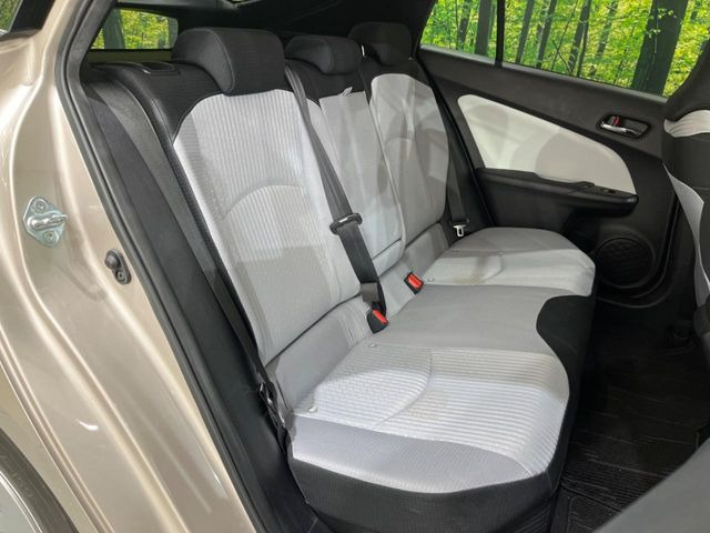 �㕔���Ȃ��C�ɂȂ�悤�ȃL�Y�E�����ւ��蓙�A�傫�ȃ_���[�W�͂Ȃ��A�ǍD�ȏ�Ԃł��B