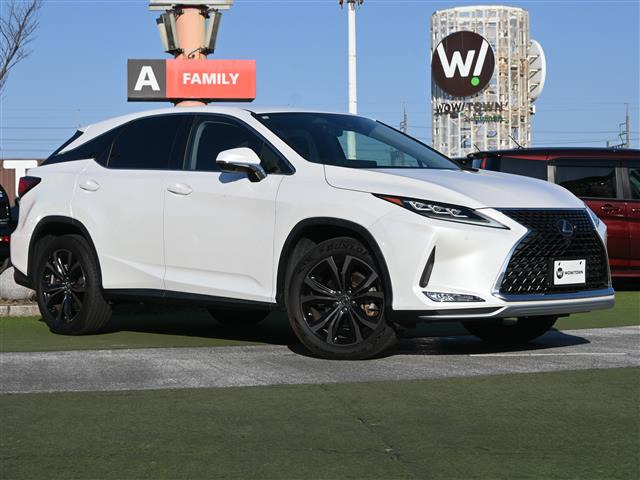 RX300 バージョンL