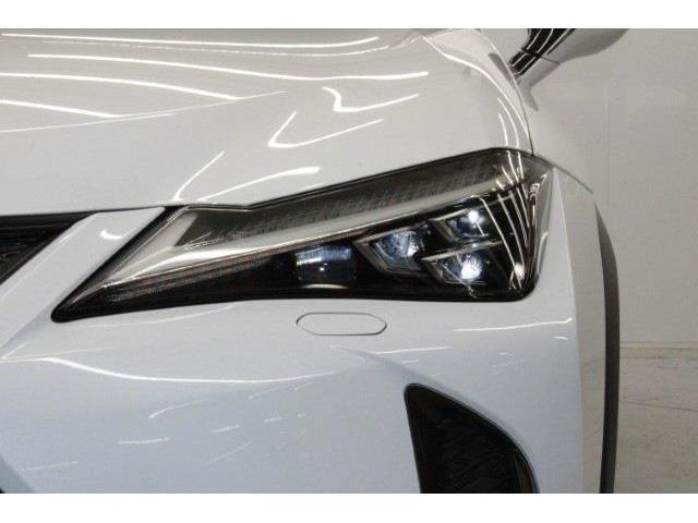 ���Ǝҗl�ւ̔̔��͂��f�肳���Ă��������܂��B �Ԍ������ԗ��̏ꍇ�́A�Ԍ����擾�������x�������z�ŕ\�����Ă���܂��B