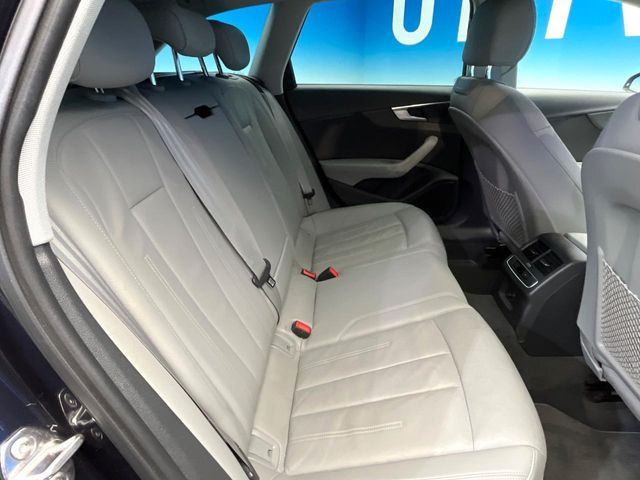 ���㕔���Ȃ��C�ɂȂ�悤�ȃL�Y�E�����ւ��蓙�A�傫�ȃ_���[�W�͂Ȃ��A�ǍD�ȏ�Ԃł��B