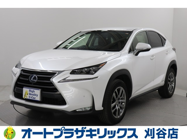 NX300h バージョンL