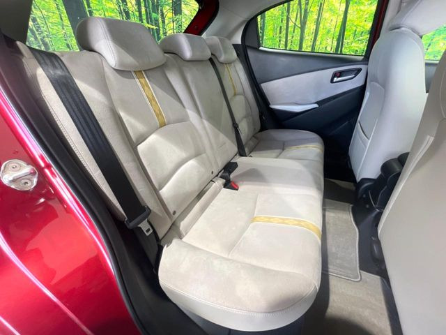 �㕔���Ȃ��C�ɂȂ�悤�ȃL�Y�E�����ւ��蓙�A�傫�ȃ_���[�W�͂Ȃ��A�ǍD�ȏ�Ԃł��B