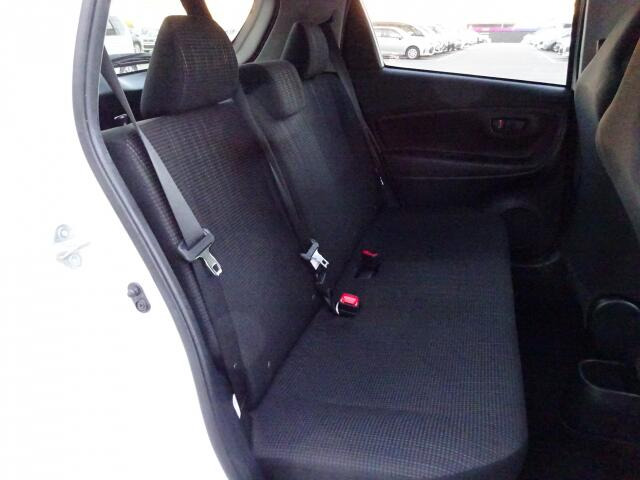 �^�]�Ȃ��傫�ȎC����Ȃ���ԗǍD�ł��B