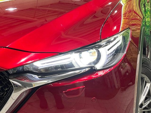 �w�b�h���C�g��e�[�������v&�A���~�z�C�[�����̊e��R�[�e�B���O���I�X�X�����Ă���܂��B�����Y�����̉��΂݂≘���}���A���ꂢ�ȏ�Ԃ������e�i���X���X�ŕۂĂ܂���