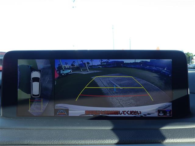 RX300 バージョンL