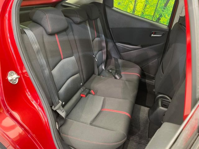 �㕔���Ȃ��C�ɂȂ�悤�ȃL�Y�E�����ւ��蓙�A�傫�ȃ_���[�W�͂Ȃ��A�ǍD�ȏ�Ԃł��B