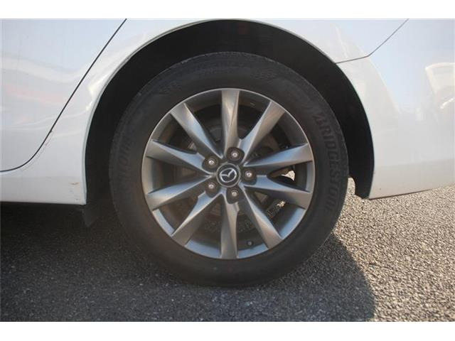 ���Ǝҗl�ւ̔̔��͂��f�肳���Ă��������܂��B �Ԍ������ԗ��̏ꍇ�́A�Ԍ����擾�������x�������z�ŕ\�����Ă���܂��B